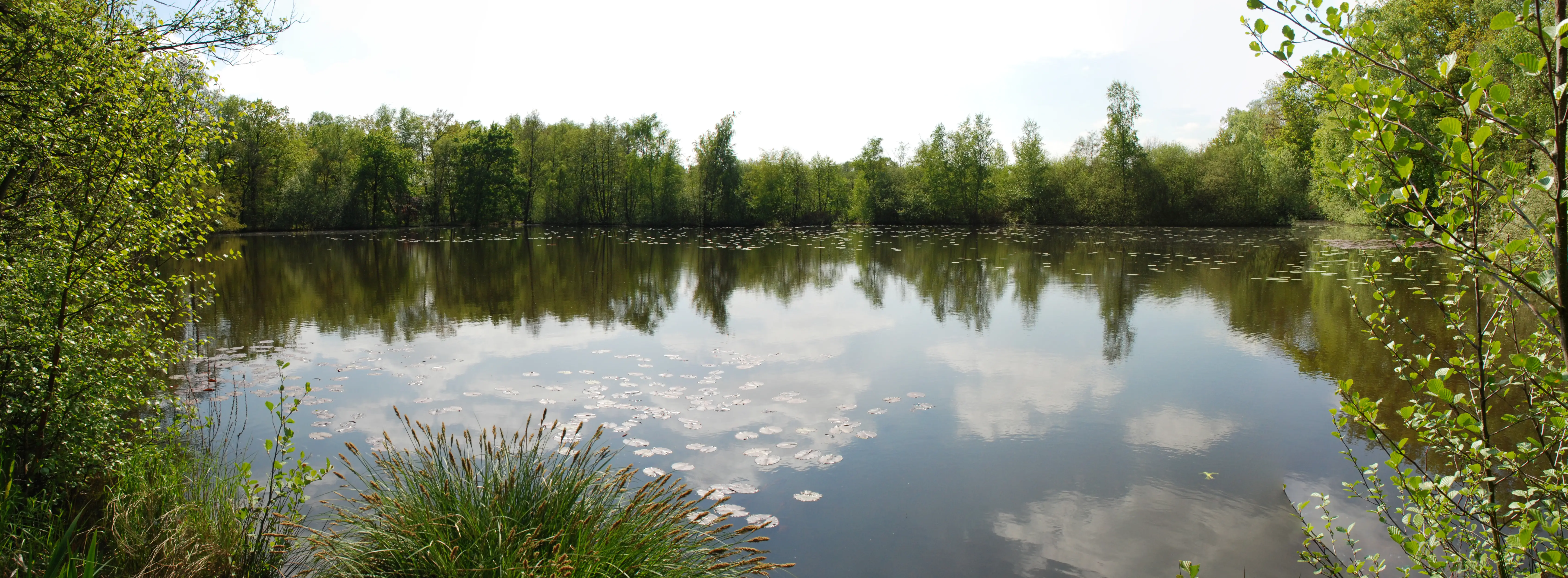 Der Weiher im Freilichtmuseum Bokrijk, Genk